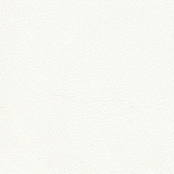 FABRIC Leather Due : Due / White FABRIC Leather Due : Due / White